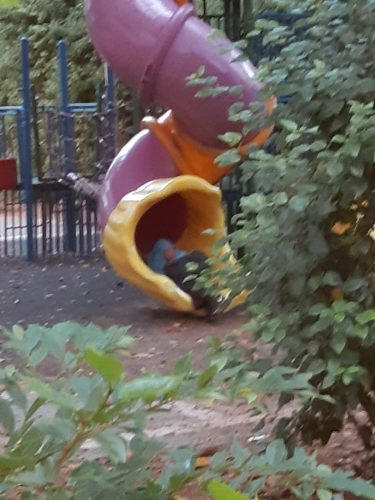 הומלס בגינה