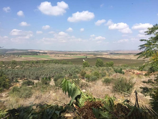 נוף של טוסקנה