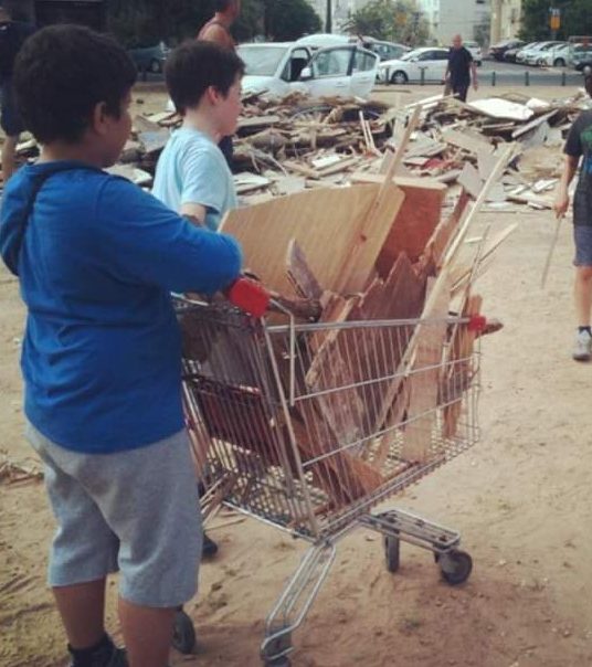 אוספים קרשים למדורה. צילום נטלי פורטי