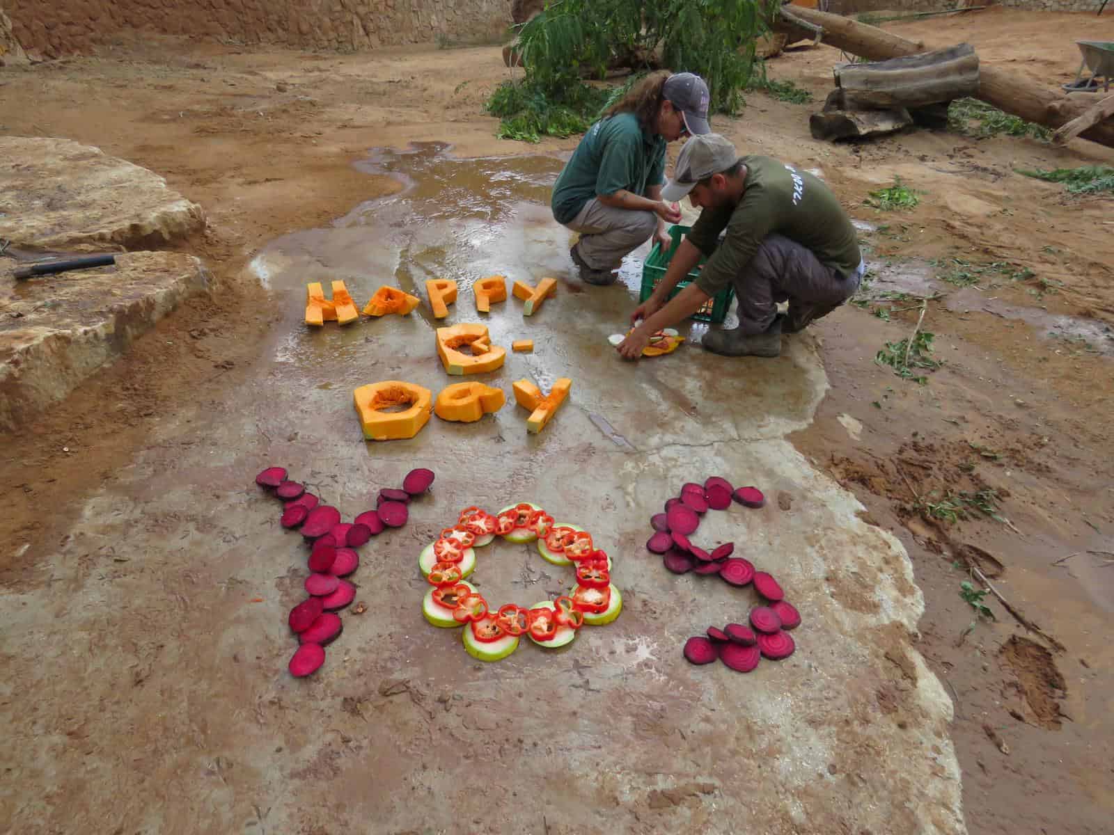 יום הולדת ליוסי הפיל ספארי רמת גן. צילום נועה טולדנו