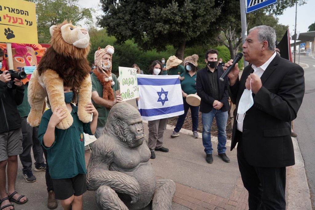 מיקי לוי בהפגנת הספארי