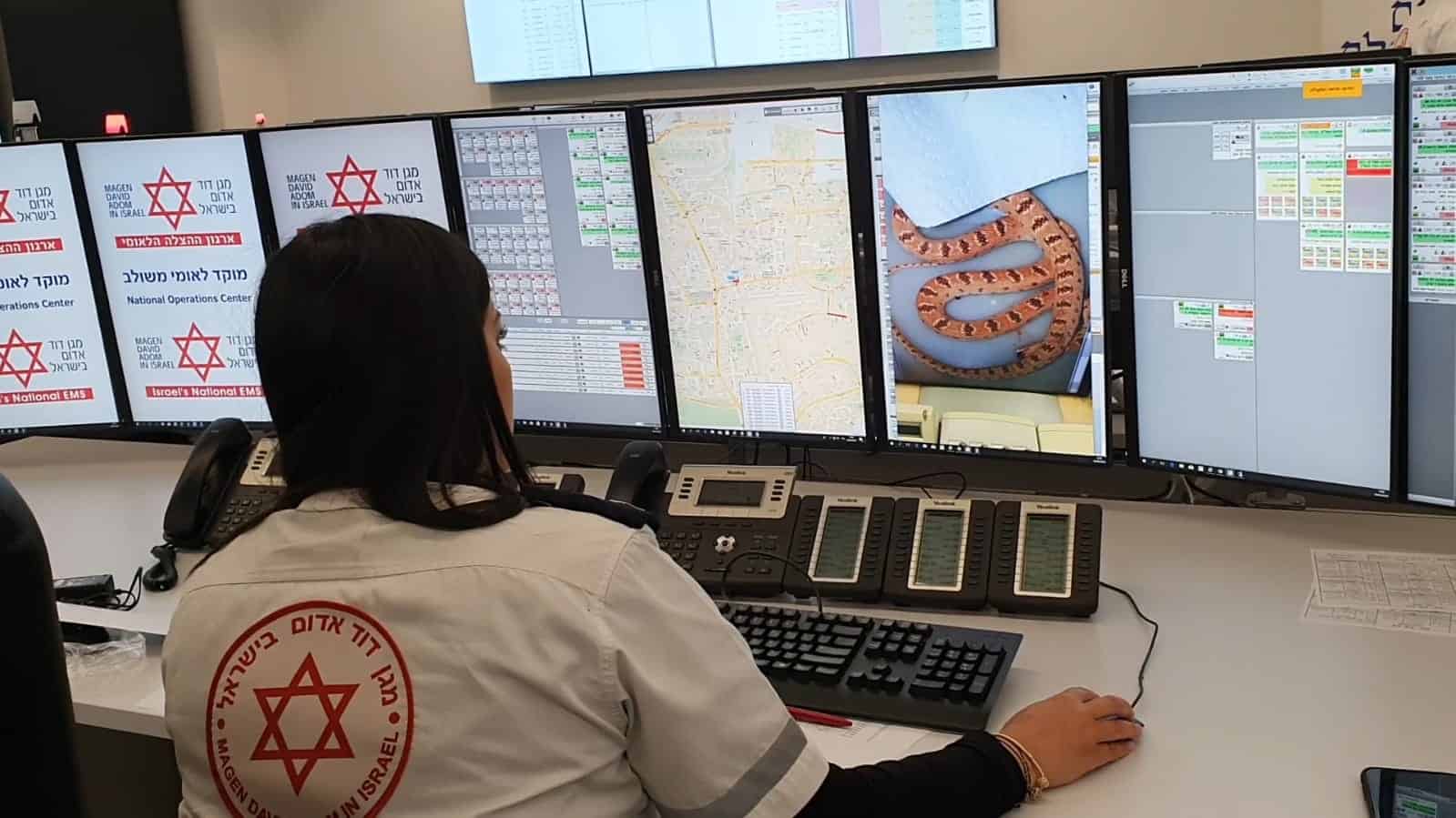 קריאה במוקד מד”א על הכשת נחש (צילום דוברות מד”א)