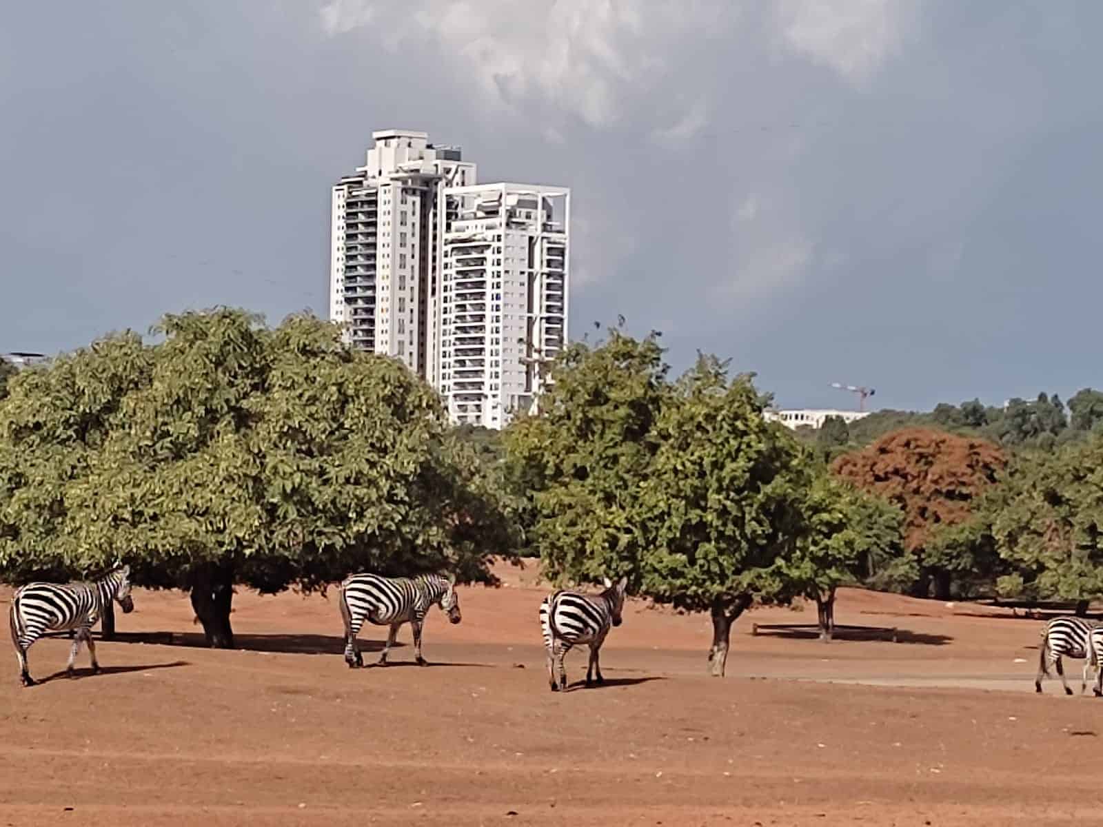 ספארי רמת גן