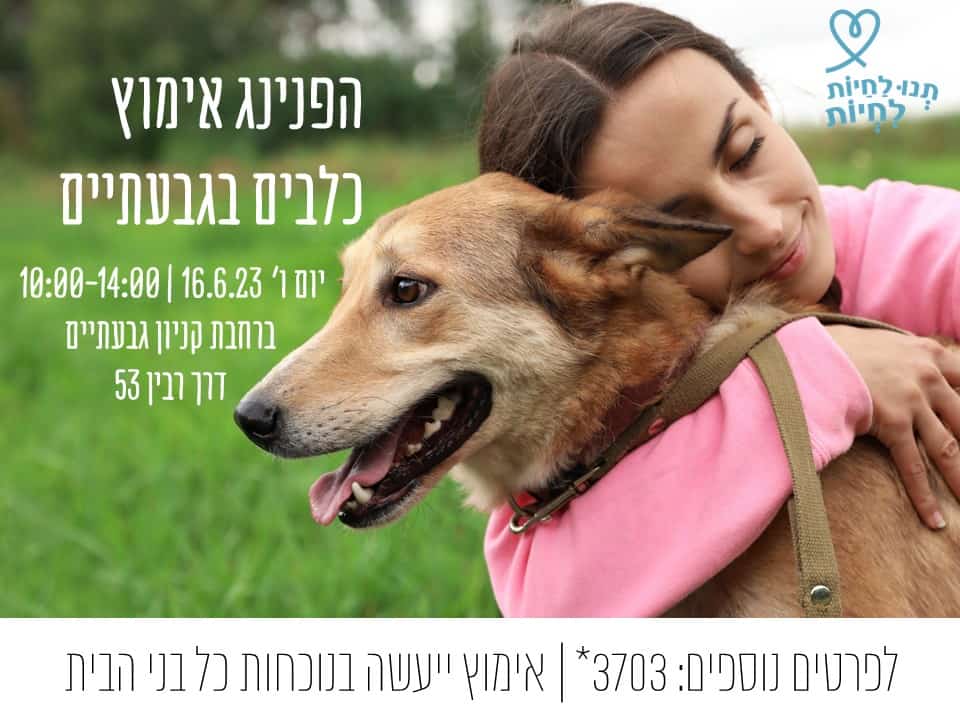 יום אימוץ כלבים בגבעתיים. צילום עמותת תנו לחיות לחיות