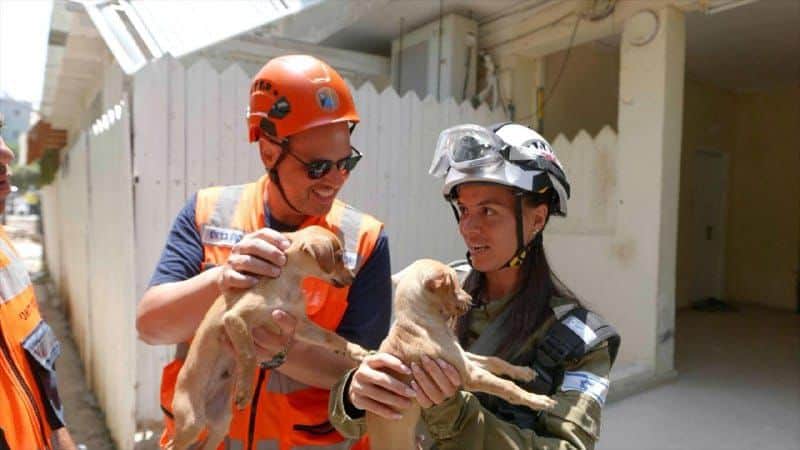 הגורים אפי והגרי שהגיעו אל עמותת בשביל בעח מחולצים על ידי מחלצת וראש עיריית בת ים צביקה ברוט – צילום יחצ