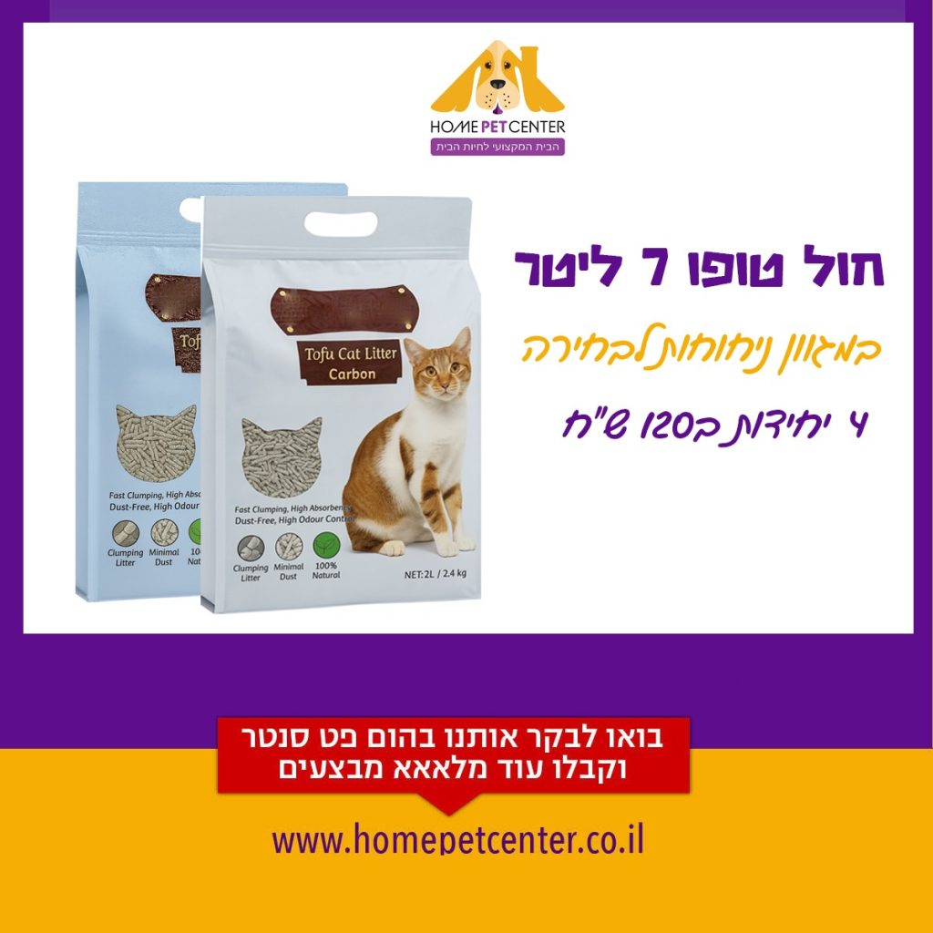 הום פט מבצעי אוגוסט