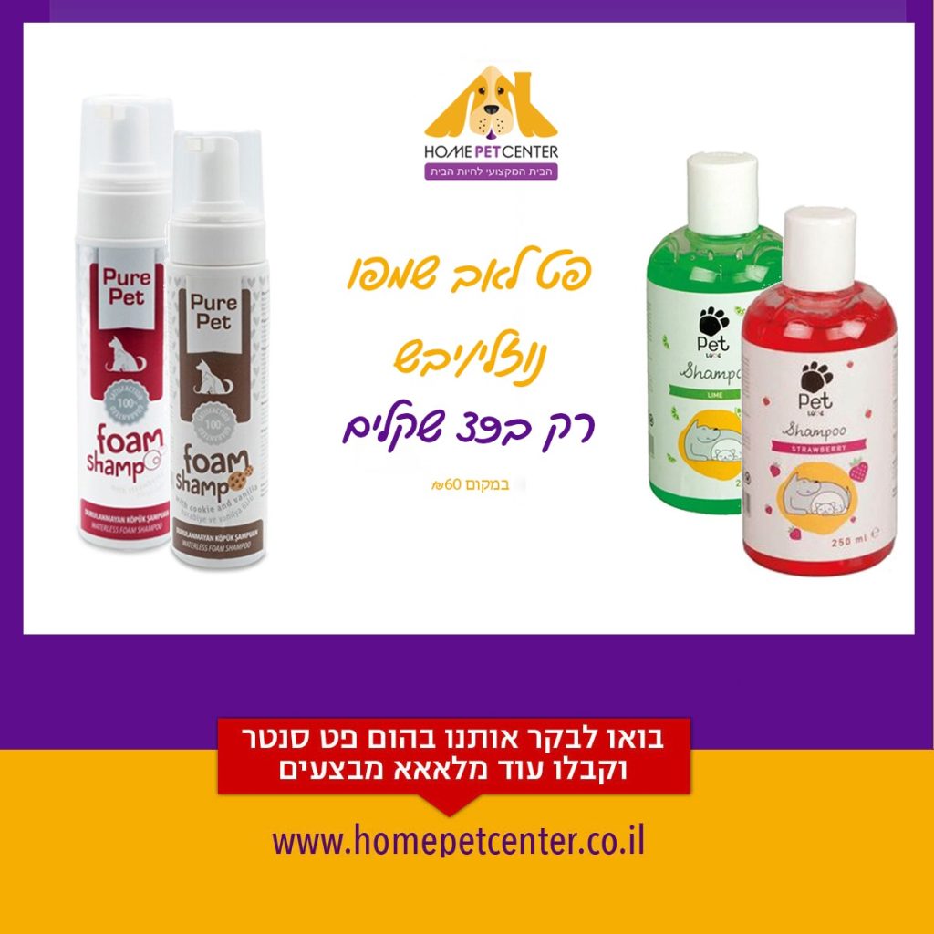 הום פט מבצעי אוגוסט