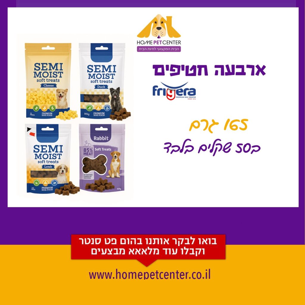 הום פט מבצעי אוגוסט