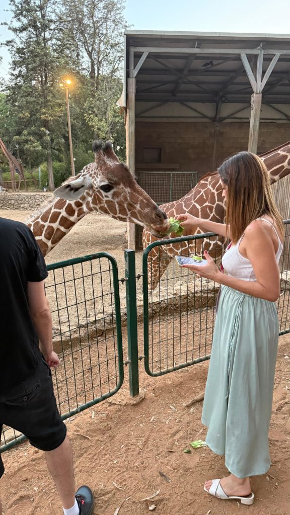 התנדבות למען חיות הבר בספארי ברמת גן. מיזם "התנדבות ממבט ראשון". צילום באדיבות רוח טובה מקבוצת אריסון
