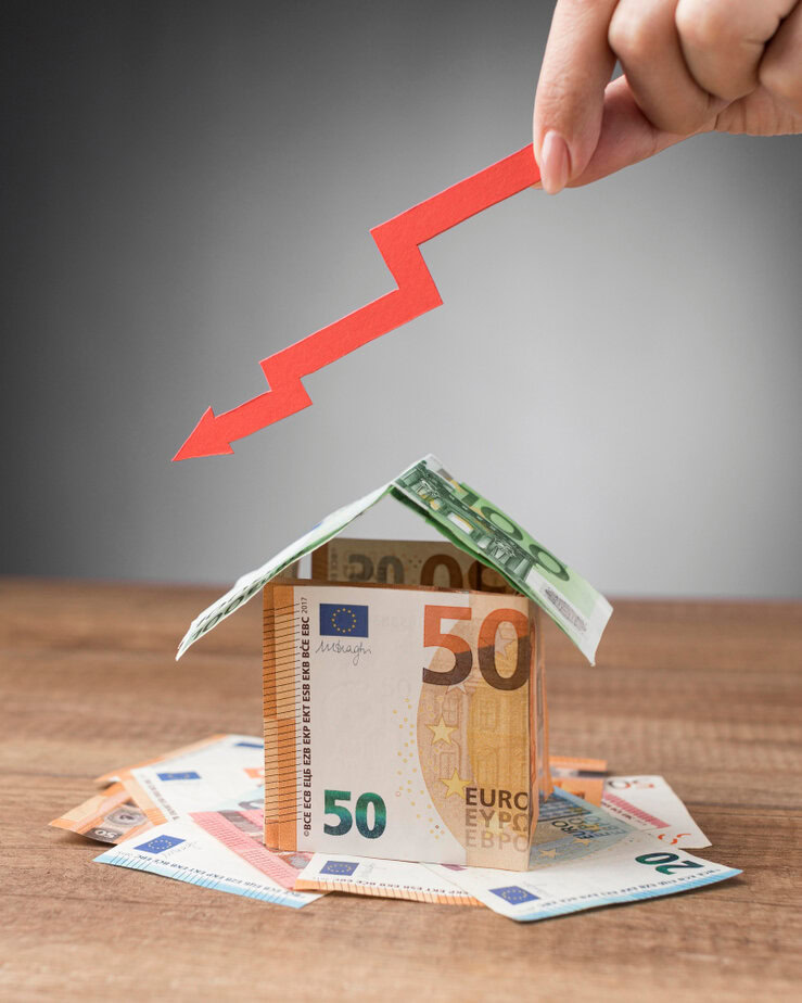 מגה לינקס צילום: FREEPIK2148783075