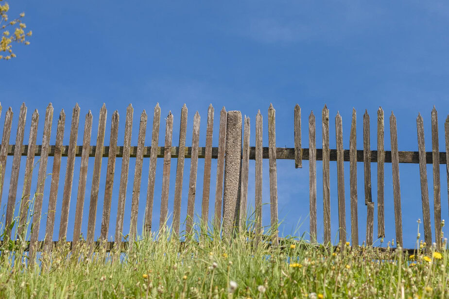 מגה לינקס קרדיט FREEPIK29289301