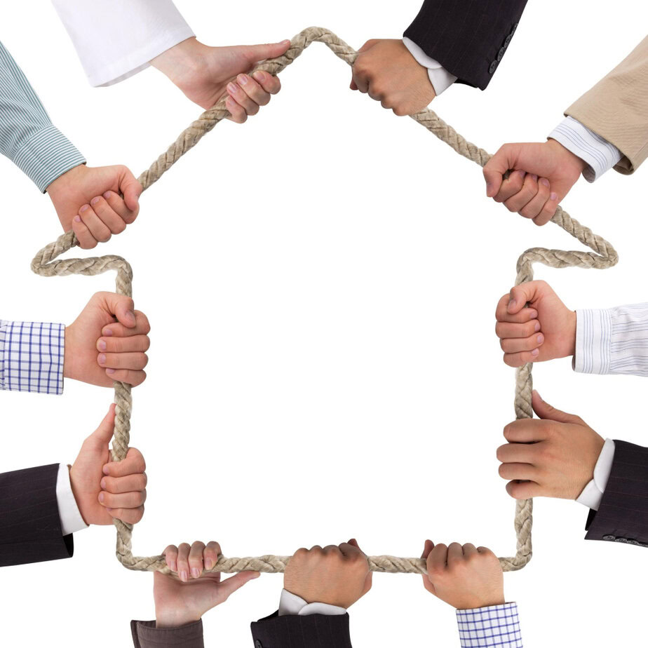 מגה לינקס צילום: FREEPIK