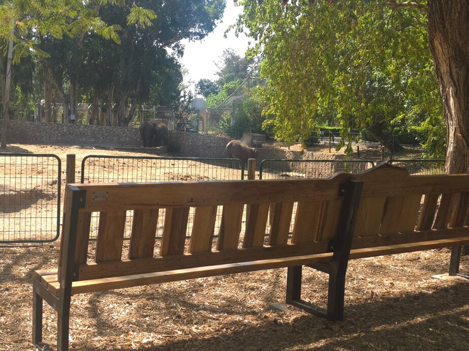 ספסלי זיכרון לכפיר ואריאל ביבס ז"ל בספארי רמת גן. צילום: דוברות הספארי