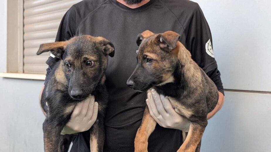 בשביל בעלי החיים מארחים את קוסטה שמורק מבעלי אנימל שופ ומילואימניק – צילום פרטי