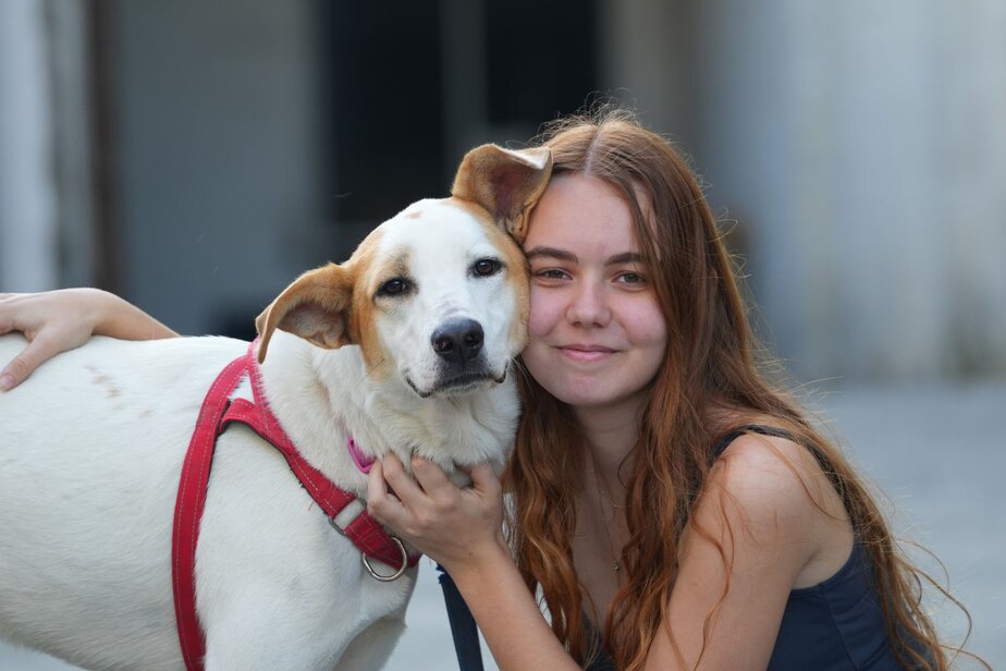 יום אימוץ כלבים ברמת גן