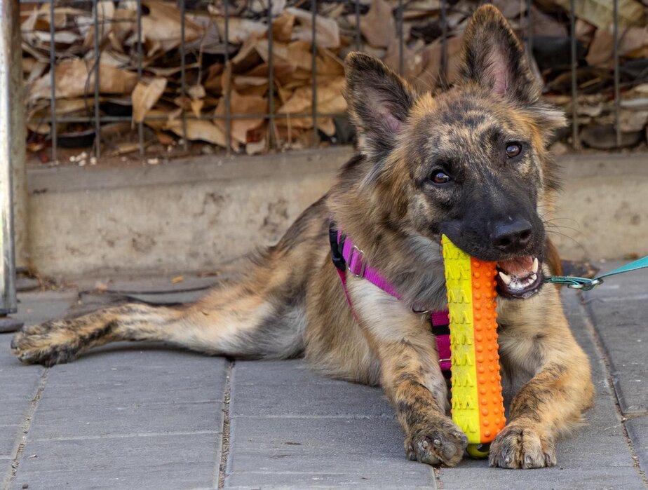 WhatsApp Image 2025-12-23 at 17.40.01