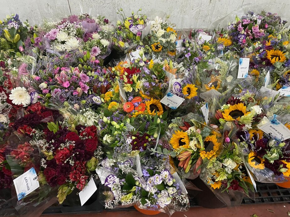 צילום באדיבות: ציונה טורשי