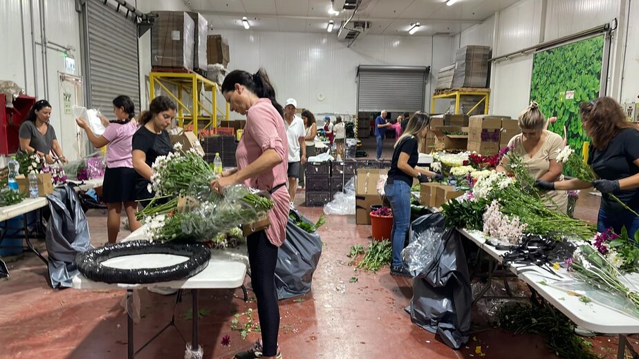 צילום באדיבות: ציונה טורשי1000293247