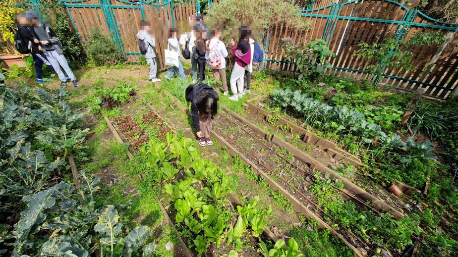 ט"ו בשבט בגבעתיים. צילום: עיריית גבעתיים