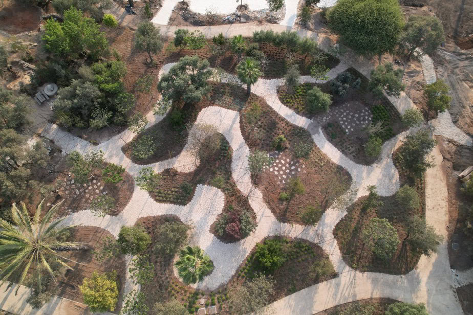 רואי פרסול בוסתן מוזא. צילום אורי לווינגר (13)