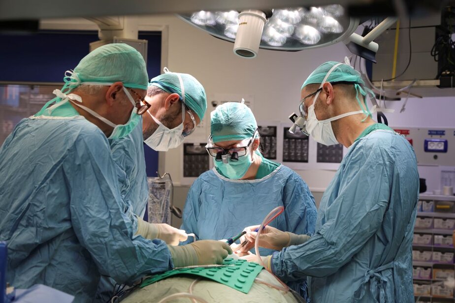 המרכז הרפואי שיבא. צילום: דוברות שיבא