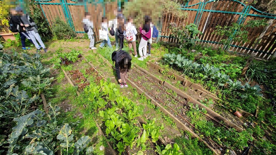 טו בשבט בגבעתיים. צילום: דוברות עיקיית גבעת שמואל