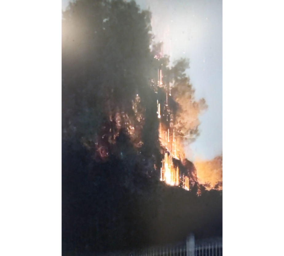 שרפה בשטח פתוח באזור רחוב רוקח, סמוך לפארק הירקון. צילום: כיבוי אש והצלה