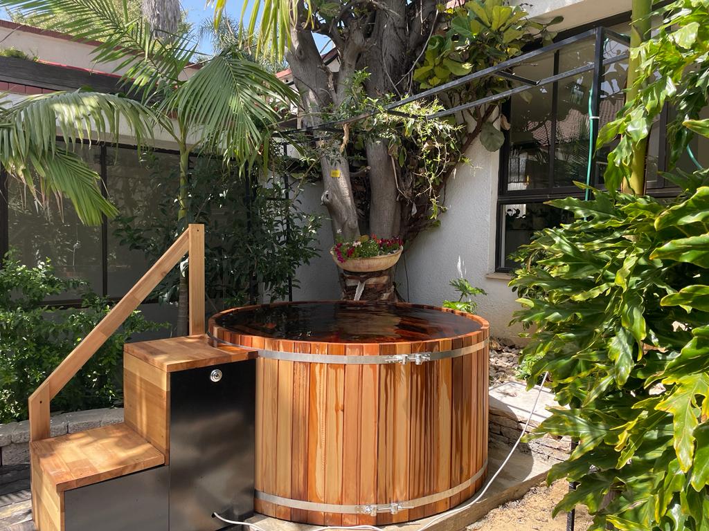 עדן איןצילום: יח"צ