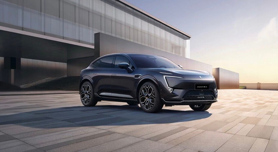 AVATR 11 – 3 צילום קבוצת אלבר