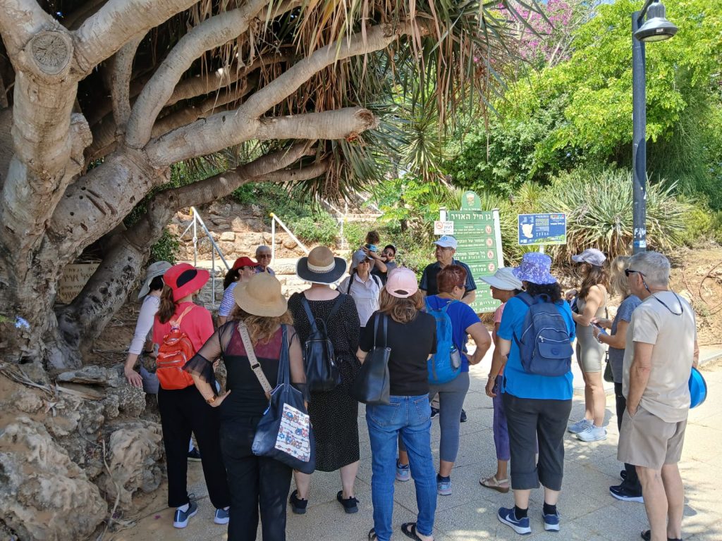 הליכת הג'יין. צילום עיריית גבעתיים