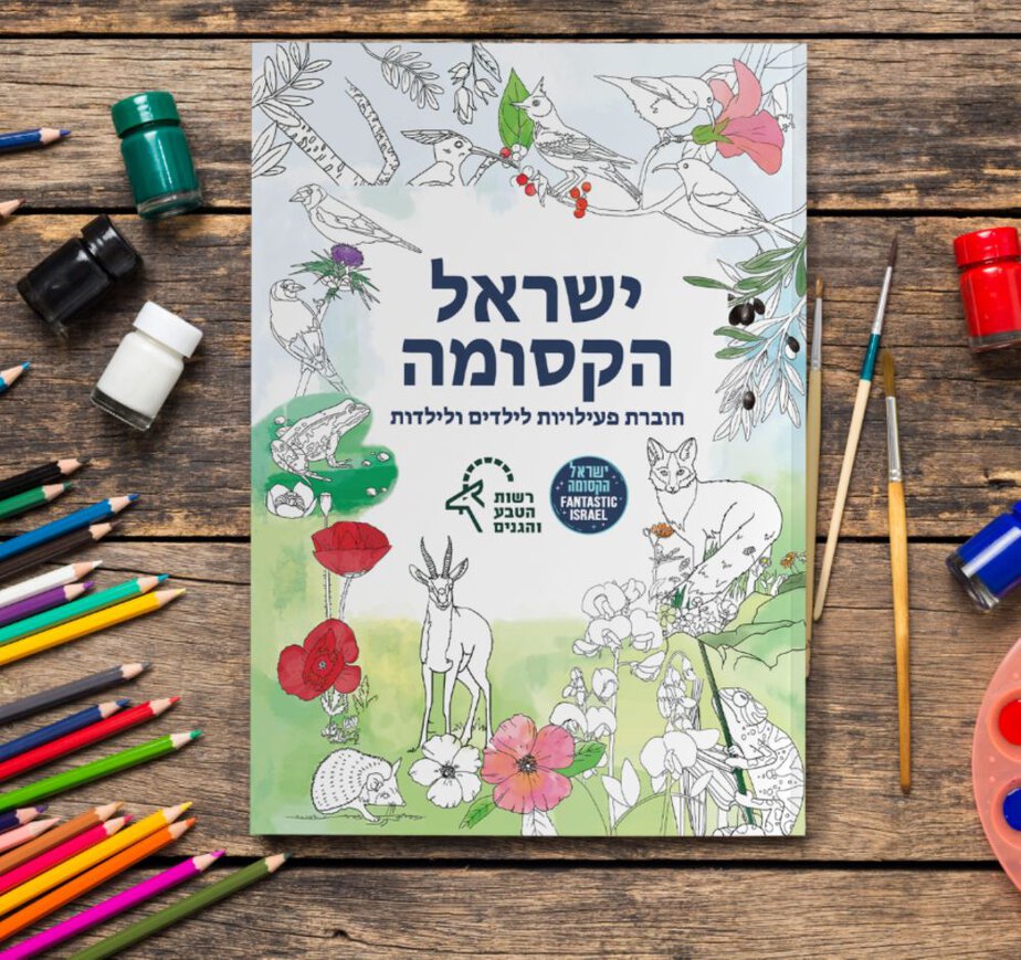 ישראל הקסומה, חוברת פעילות לילדים ולילדות של רשות הטבע והגנים 30 שח צילום – טלי מלטר (1) (1)