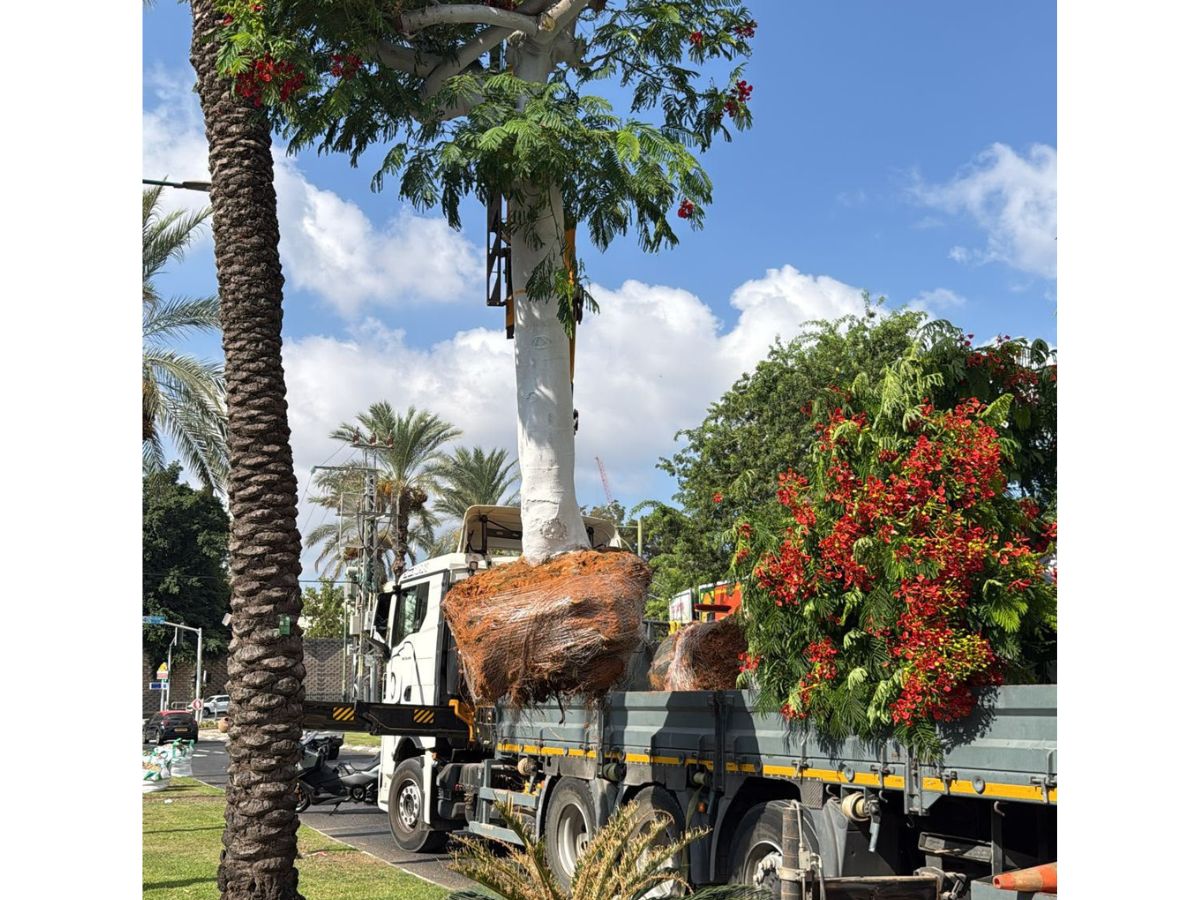 צילום: עיריית רמת גן